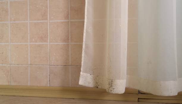 Best Residential Mold Inspection & Testing  in Oakdale, MN