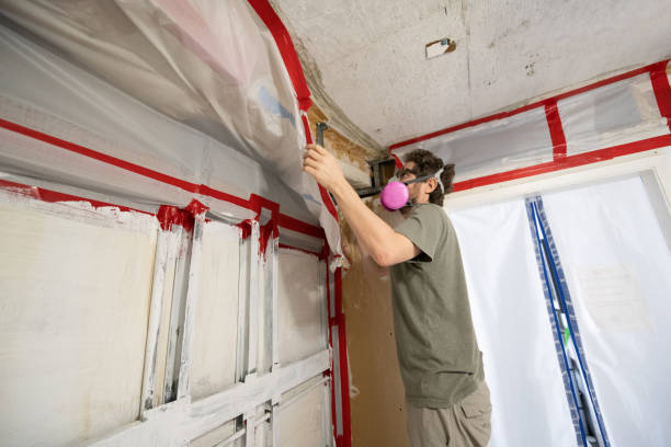 Best Real Estate Mold Inspection  in Oakdale, MN