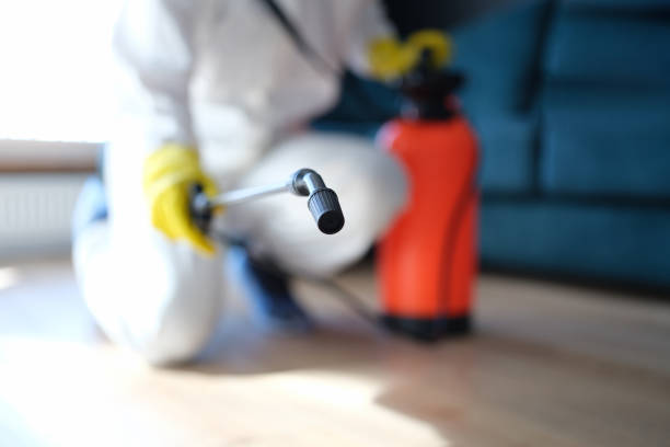 Professional Mold Removal in Oakdale, MN