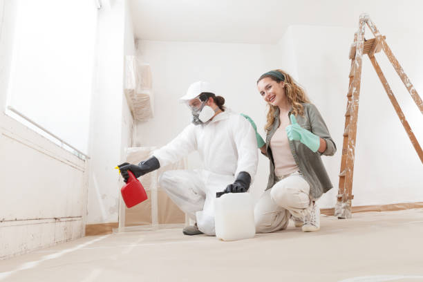 Best Mold-Related Health Consultation  in Oakdale, MN